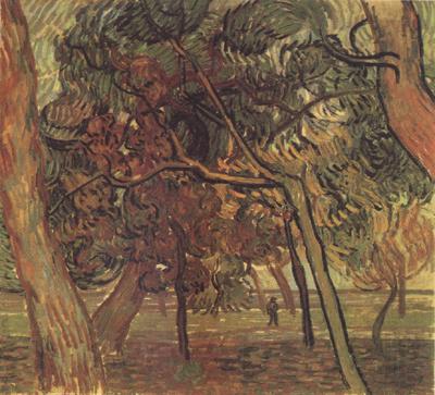 Vincent Van Gogh Study of Pine Trees (nn04) Spain oil painting art